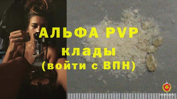 индика Михайловка