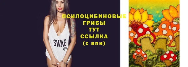 индика Михайловка
