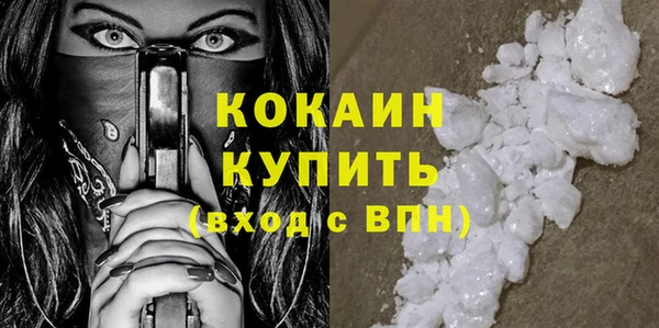твердый Михайловск