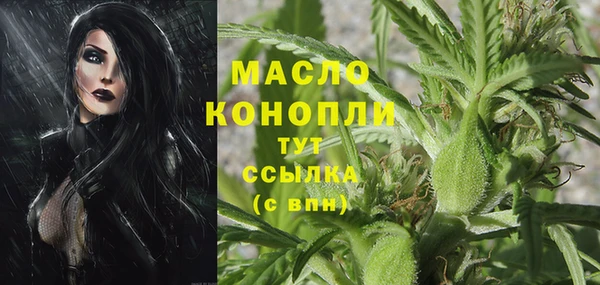 твердый Михайловск
