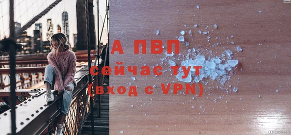 индика Михайловка