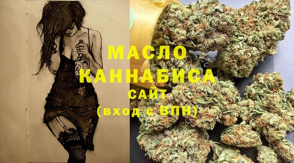 твердый Михайловск
