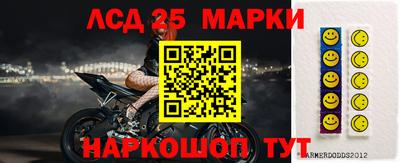 ГАЛЛЮЦИНОГЕННЫЕ ГРИБЫ Гай