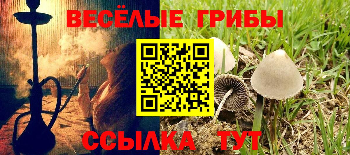 Альфа ПВП Лабинск